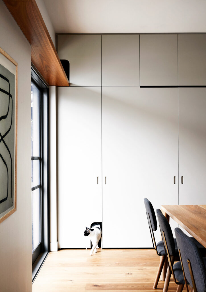 Maike Design joinery cupboard. Cat, timber floors, dining table and upholstered chairs